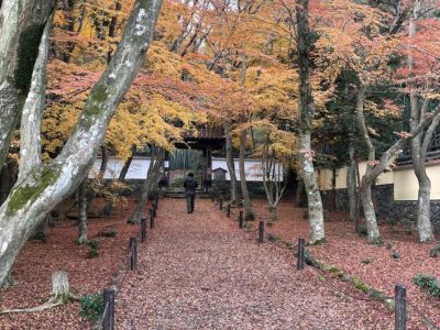 京都トレイル・松尾山