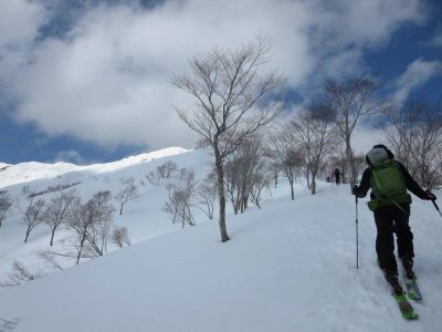 野伏ヶ岳BCスキー