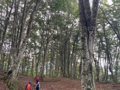 土蔵岳（つちくらだけ）